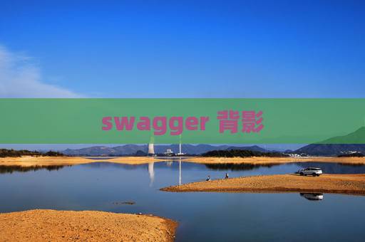 swagger 背影